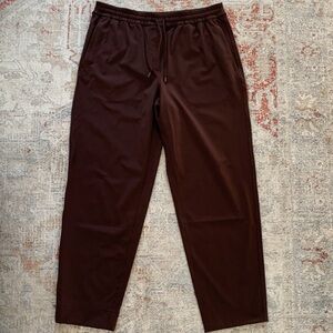 Lululemon Relaxed fit Pull On Men's Plum Pant